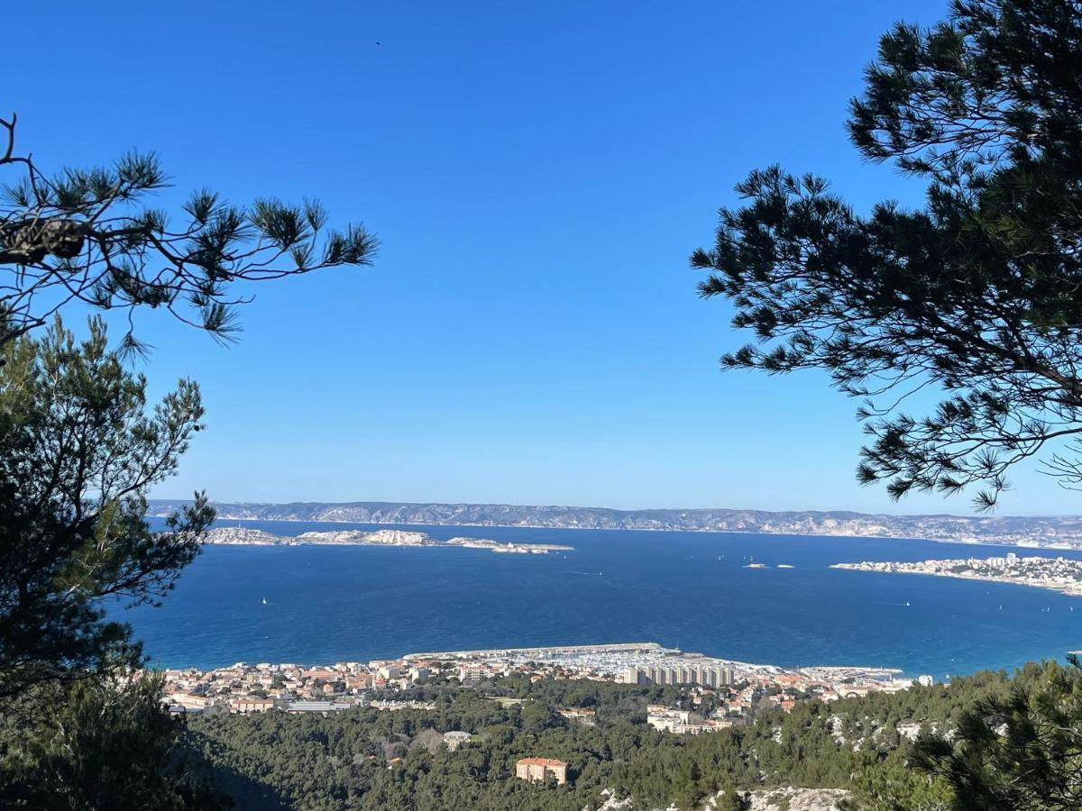 Apartment Ravissant En Plein Centre De Marseilles